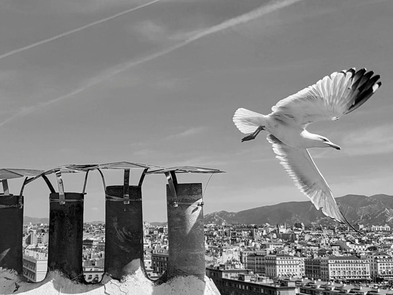Superbe Appart, Central, Petit Balcon & Vue Place Marseilles Buitenkant foto